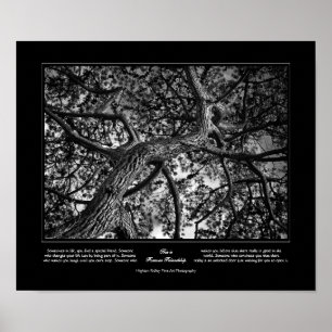 フォーエバーフレンドシップ，カナダパイン，ファインアート ポスター