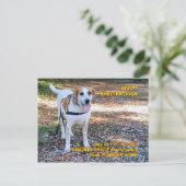 フォーエバーホームアメージンググレース ポストカード (スタンド正面)