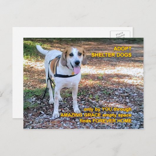 フォーエバーホームアメージンググレース ポストカード (正面/裏面)