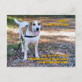 フォーエバーホームアメージンググレース ポストカード (正面)