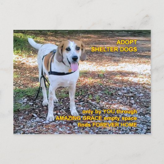 フォーエバーホームアメージンググレース ポストカード (正面)