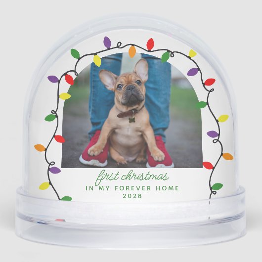 フォーエバーホーム初めてのクリスマスペットレスキュー写真 (正面)