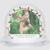 フォーエバーホーム初めてのクリスマスペットレスキュー写真 (裏面)