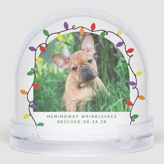 フォーエバーホーム初めてのクリスマスペットレスキュー写真 (裏面)