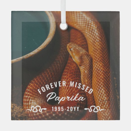 フォーエバー恋しく思フォトペットスネークメモリアル ガラスオーナメント (正面)