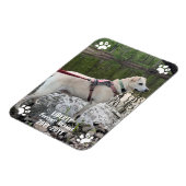 フォーエ恋しく思ーペットメモリアルモダンフォトカスタム マグネット (左側)