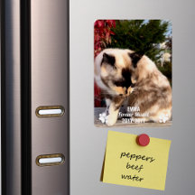 フォーエ恋しく思ーペットメモリアルモダンフォトカスタム