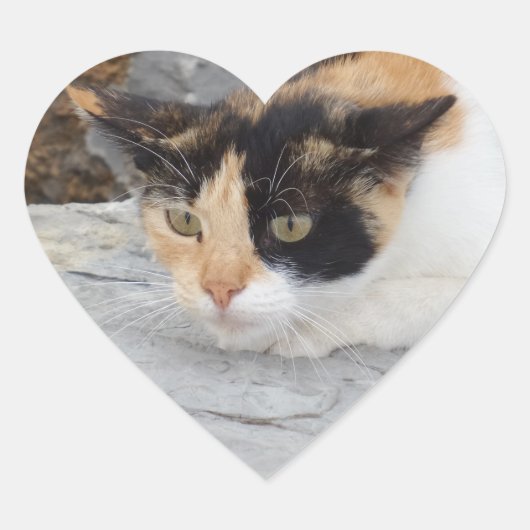 フォーカスされたCatハートステッカー ハートシール (正面)