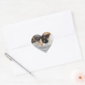 フォーカスされたCatハートステッカー ハートシール (封筒)