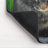 フォーカスしたCatまたは写真 マウスパッド (コーナー)