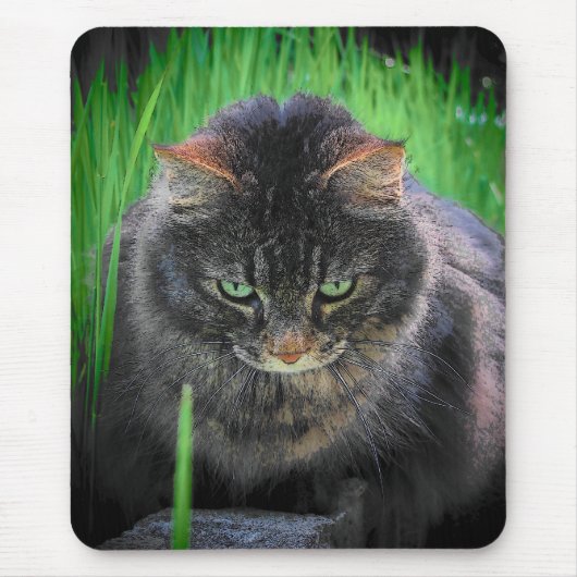 フォーカスしたCatまたは写真 マウスパッド (正面)