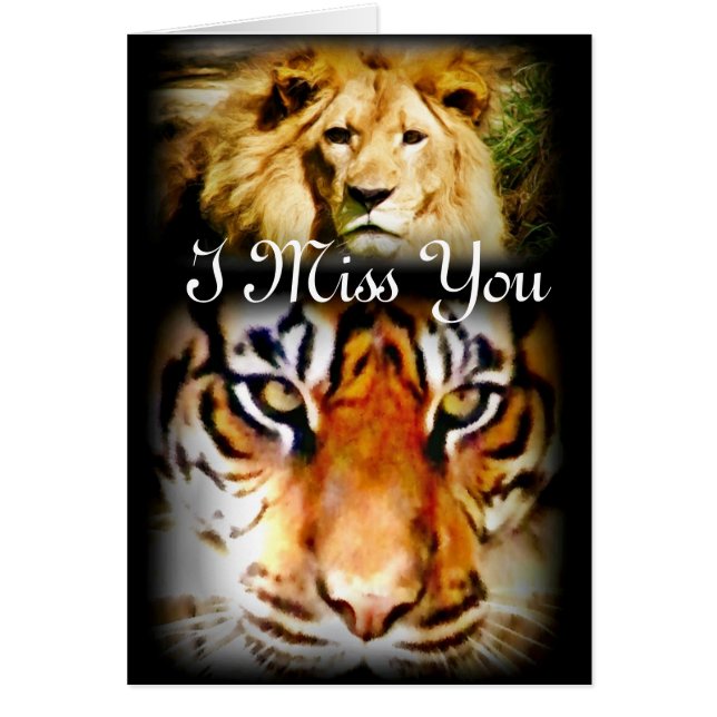 フォーカスと勇気_ (正面)