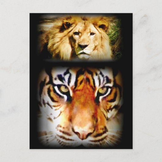 フォーカスと勇気_ ポストカード (正面)