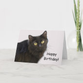 フォーカスによる黒猫誕生日カード カード (正面)