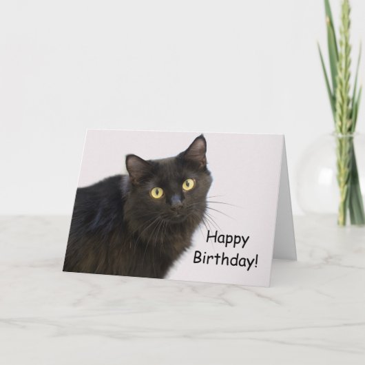 フォーカスによる黒猫誕生日カード カード (正面)