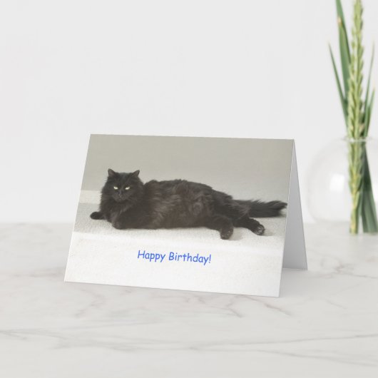 フォーカスによる黒猫誕生日カード カード (正面)