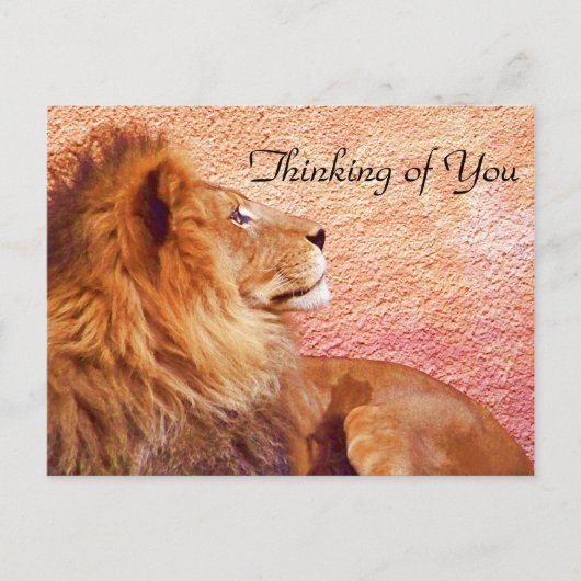 フォーカスを維持_ ポストカード (正面)