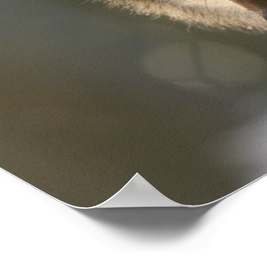 フォーカス引用文オンウルフイメージ勇気付けられるポスター ポスター (角)