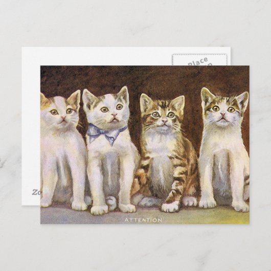 フォーキュートキッチンヴィンテージイラストレーション ポストカード (正面/裏面)