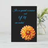 フォークイーンズダリアフローラ招待 招待状 (スタンド正面)