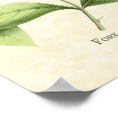 フォークテールウッドニンフハミンバードアートプリント ポスター (角)