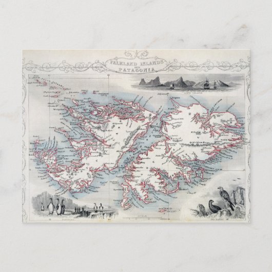 フォークランド諸島とパタゴニア，シリーズWから ポストカード (正面)