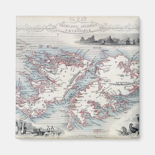 フォークランド諸島とパタゴニア，シリーズWから マグネット (正面)