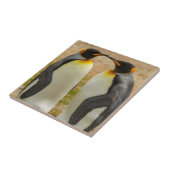 フォークランド諸島のキングペンギンのつがい タイル (側面)