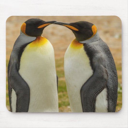 フォークランド諸島のキングペンギンのつがい マウスパッド (正面)