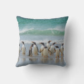 フォークランド諸島サウンダーズ島。Gentoo クッション (裏面)