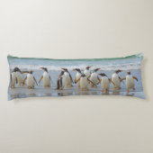 フォークランド諸島サウンダーズ島。Gentoo ボディピロー (裏面)