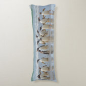 フォークランド諸島サウンダーズ島。Gentoo ボディピロー (正面縦)