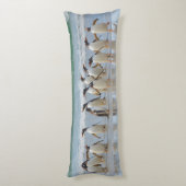 フォークランド諸島サウンダーズ島。Gentoo ボディピロー (裏面 (縦))