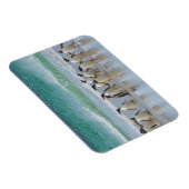 フォークランド諸島サウンダーズ島。Gentoo マグネット (右側)