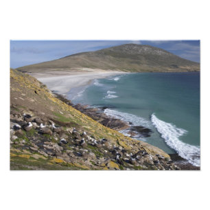フォークランド諸島, ウェストフォークランド, サンダース島 フォトプリント