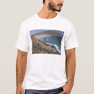 フォークランド諸島, ウェストフォークランド, サンダース Tシャツ