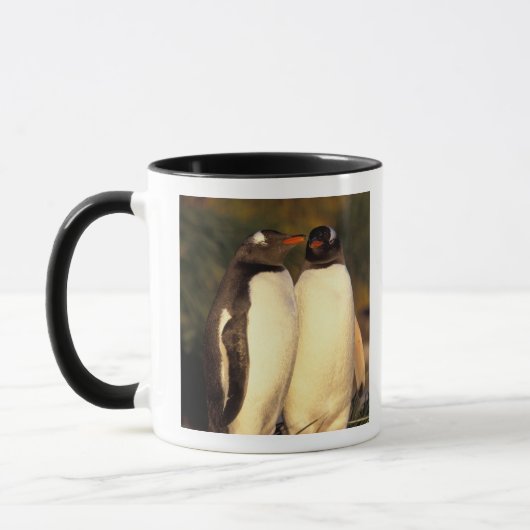 フォークランド諸島。ジェンツーペンギン (Pyroscelis マグカップ (左)