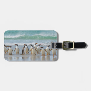 フォークランド諸島. ソーンダース島. ジェンツーペンギン ラゲッジタグ
