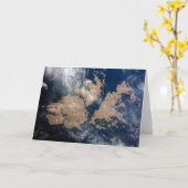 フォークランド諸島(マルビナス諸島) カード (黄色い花)