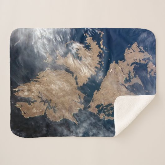 フォークランド諸島（マルビナス諸島） シェルパブランケット (正面(横))