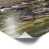 フォークランド諸島,西フォークランド,サンダー フォトプリント (角)