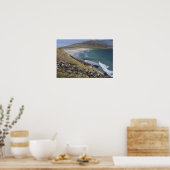 フォークランド諸島，西フォークランド，サンダー ポスター (キッチン)