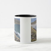 フォークランド（マルビナス）諸島、西フォークランド（マルビナス）、サウンダー マグカップ (中央)