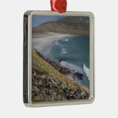 フォークランド(マルビナス)諸島、西フォークランド(マルビナス)、サウンダー メタルオーナメント (右)