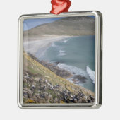 フォークランド(マルビナス)諸島、西フォークランド(マルビナス)、サウンダー メタルオーナメント (左)