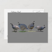 フォークワイル ポストカード (正面/裏面)