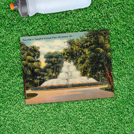 フォーサイスパークの噴水サバンナGA歴史的 ポストカード