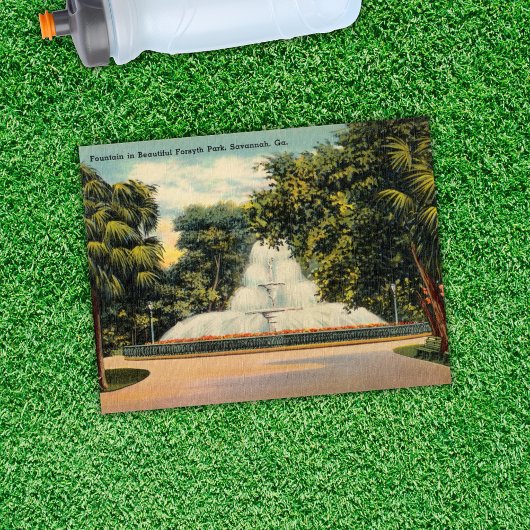 フォーサイスパークの噴水サバンナGA歴史的 ポストカード
