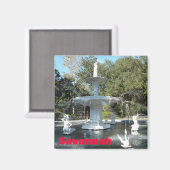 フォーサイスパークサバンナ噴水写真マグネット マグネット (正面/裏面)