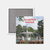 フォーサイスパークファウンテンサバンナジョージフォト マグネット (正面/裏面)